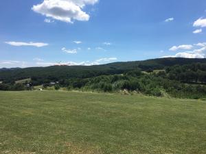 01.07.2017 2. MFK-Klubbewerb (Ziellanden) - Landeanflug