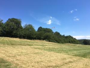 01.07.2017 2. MFK-Klubbewerb (Ziellanden) - Einflug zwischen den zwei Fahnen