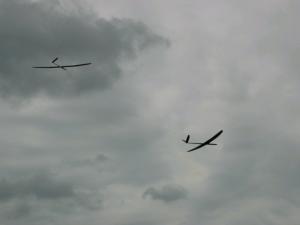 2001 - Marchfeldpokal - Zwei Modelle beim Streckenflug