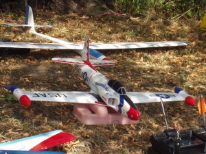 2003 - Flugtag - Ausstellung > Thunderbird.