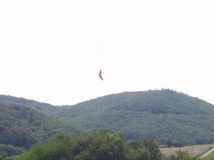 2007.08.19 - Flugtag - Nurflügler mit Impellerantrieb