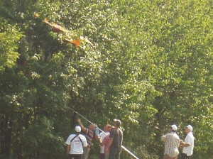 2007.08.19 - Flugtag - Baumlandung