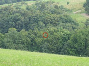 3. Tag des Schülerbastelns - Und hier konnte es einer zu gut. > Höhe über 20m!