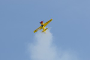 Flugtag 2008 - Schaufliegen  