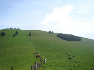 Sommeralmpokal 2009 - Aufstieg zum Südwesthang