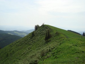 Sommeralmpokal 2009 - Südwesthang/Nordosthang 