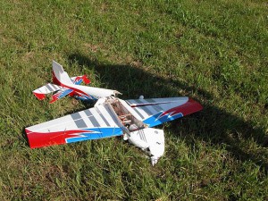 Schauflugtag 2009 - Manchmal halten die Maschinen den Belastungen nicht stand!
