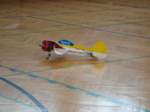 6.3.2010 Hallenfliegen in Breitenfurt - Shocky