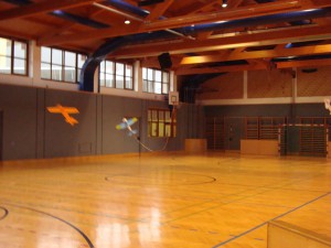 6.3.2010 Hallenfliegen in Breitenfurt - Fuchsjagd 