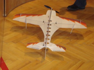 6.3.2010 Hallenfliegen in Breitenfurt - Shocky