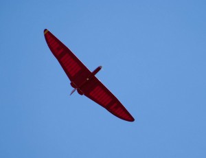 14.8.2011 50 Jahre MFK-B - Flugvorführung - Sudanfalke (Elekrosegler) 3,1m Spannw.