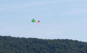 14.8.2011 50 Jahre MFK-B - Flugvorführung - Nurflügler "Bee" mit Impeller