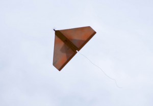 14.8.2011 50 Jahre MFK-B - Flugvorführung - Delta ElektroSpannw. 650mm