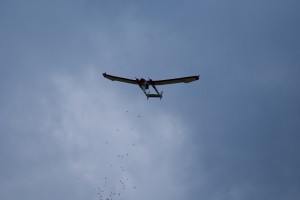 15.8.2011 50 Jahre MFK-B - Flugshow - Kinder nach dem Zuckerlabwurf