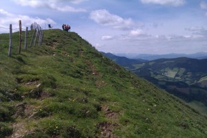 8.5.2011 1. Almenland Race - Sommeralm NNW-Hang neben der Stoakoglhütte