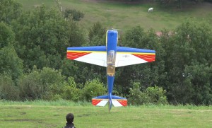 Schauflugtag (M. Brandmüller)