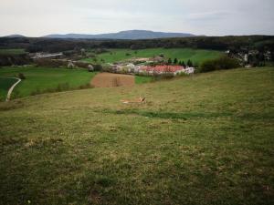 15.04.2018 1. MFK Klubbewerb 2018 - im Landeanflug 