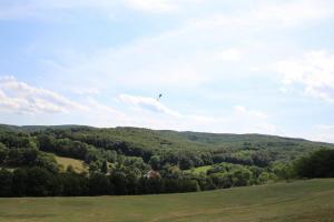 15.08.2019 Schülerbewerb und Schauflugtag des MFK-Breitenfurt