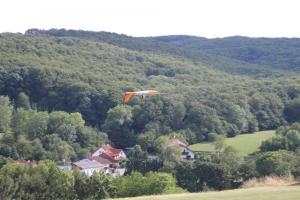 15.08.2019 Schülerbewerb und Schauflugtag des MFK-Breitenfurt