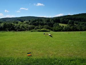 04.07.2020 Sommerbewerb