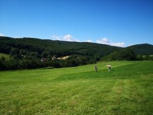 04.07.2020 Sommerbewerb