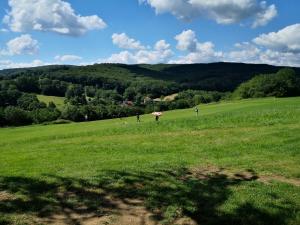 04.07.2020 Sommerbewerb