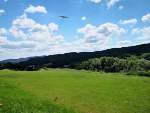 04.07.2020 Sommerbewerb