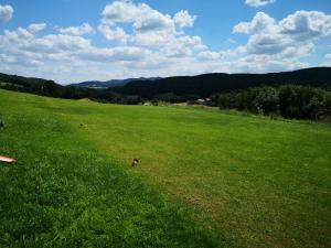 04.07.2020 Sommerbewerb