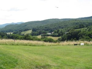 IMG 6714