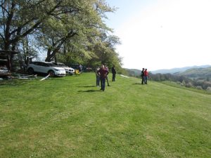 IMG 7152