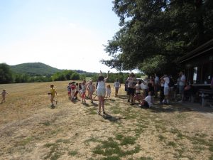 IMG 7661